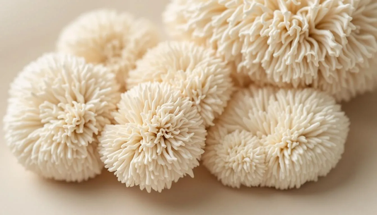 Top Benefits and Uses of Lions Mane Supplement UK