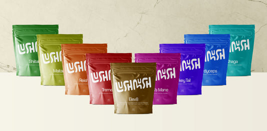 Discover the Best Ways to Incorporate Mushroom Powders into Your Diet
