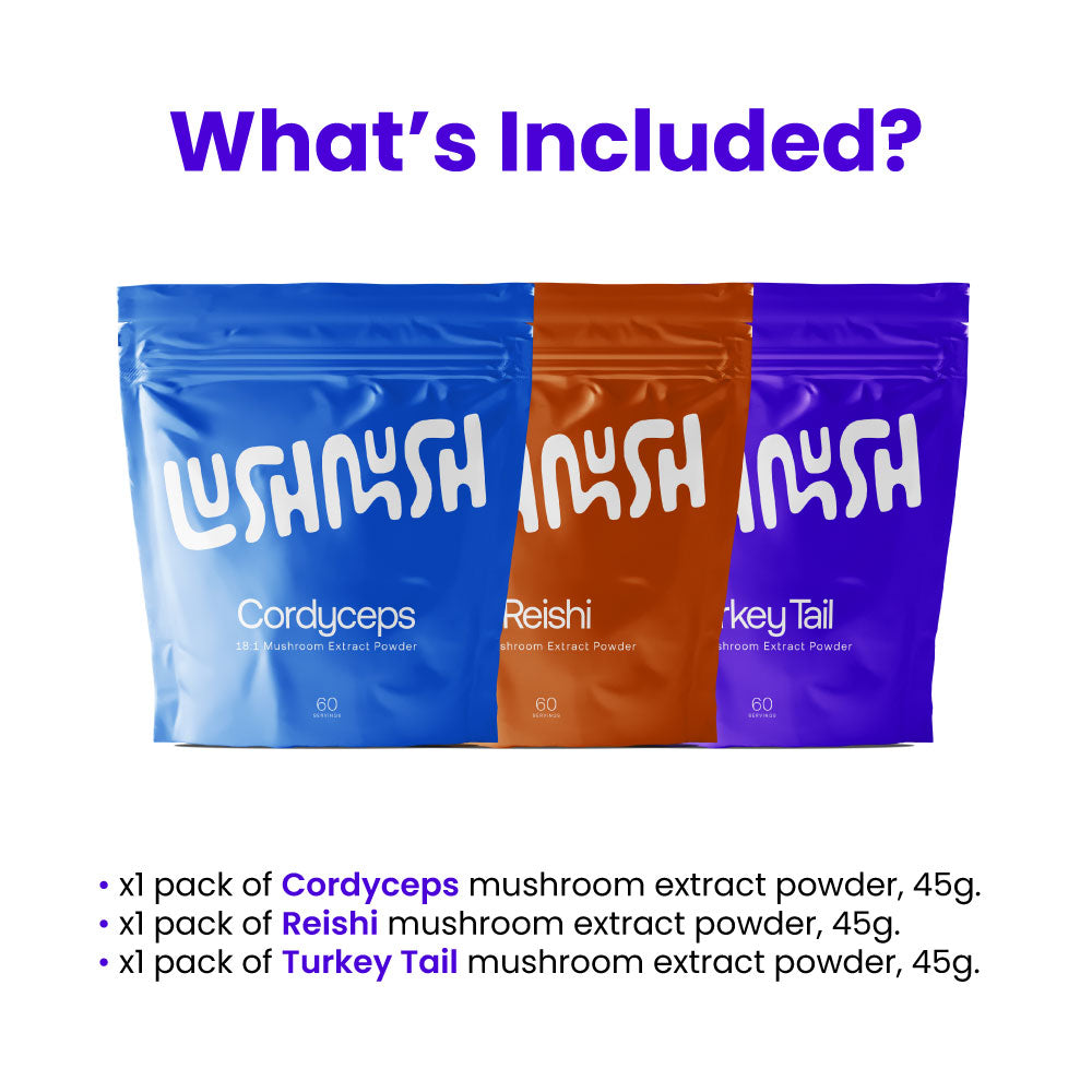 Energy - Mushroom Extract Bundle