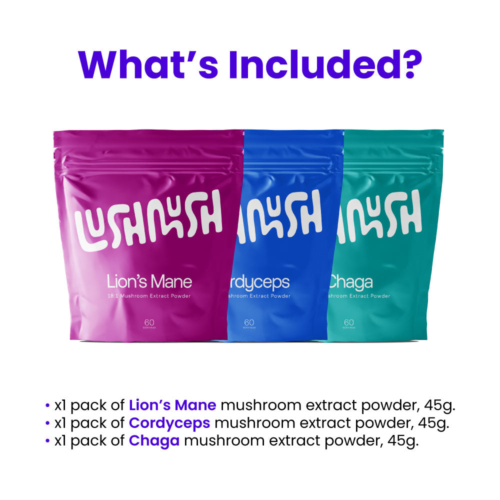 Focus - Mushroom Extract Bundle