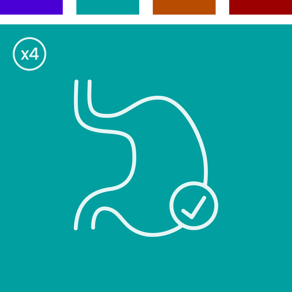 Gut - Mushroom Extract Bundle