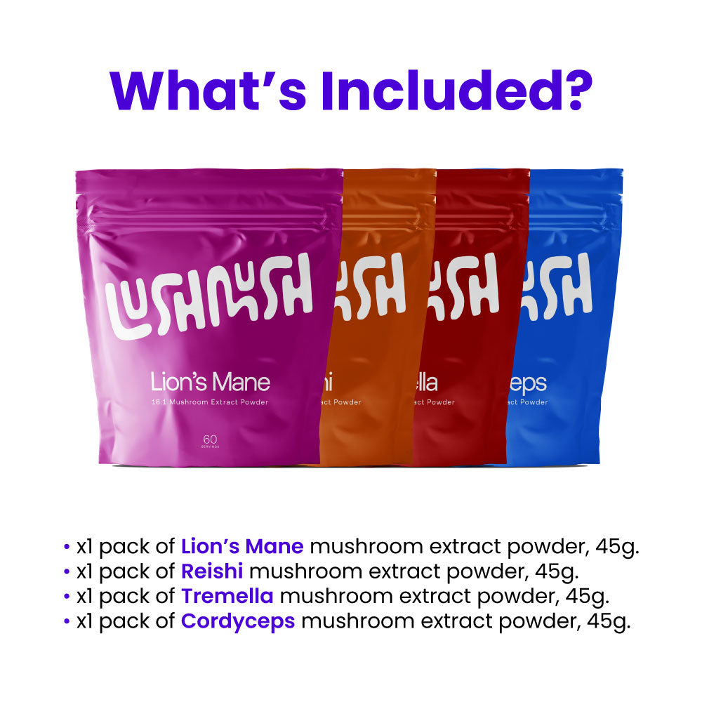 Mood - Mushroom Extract Bundle