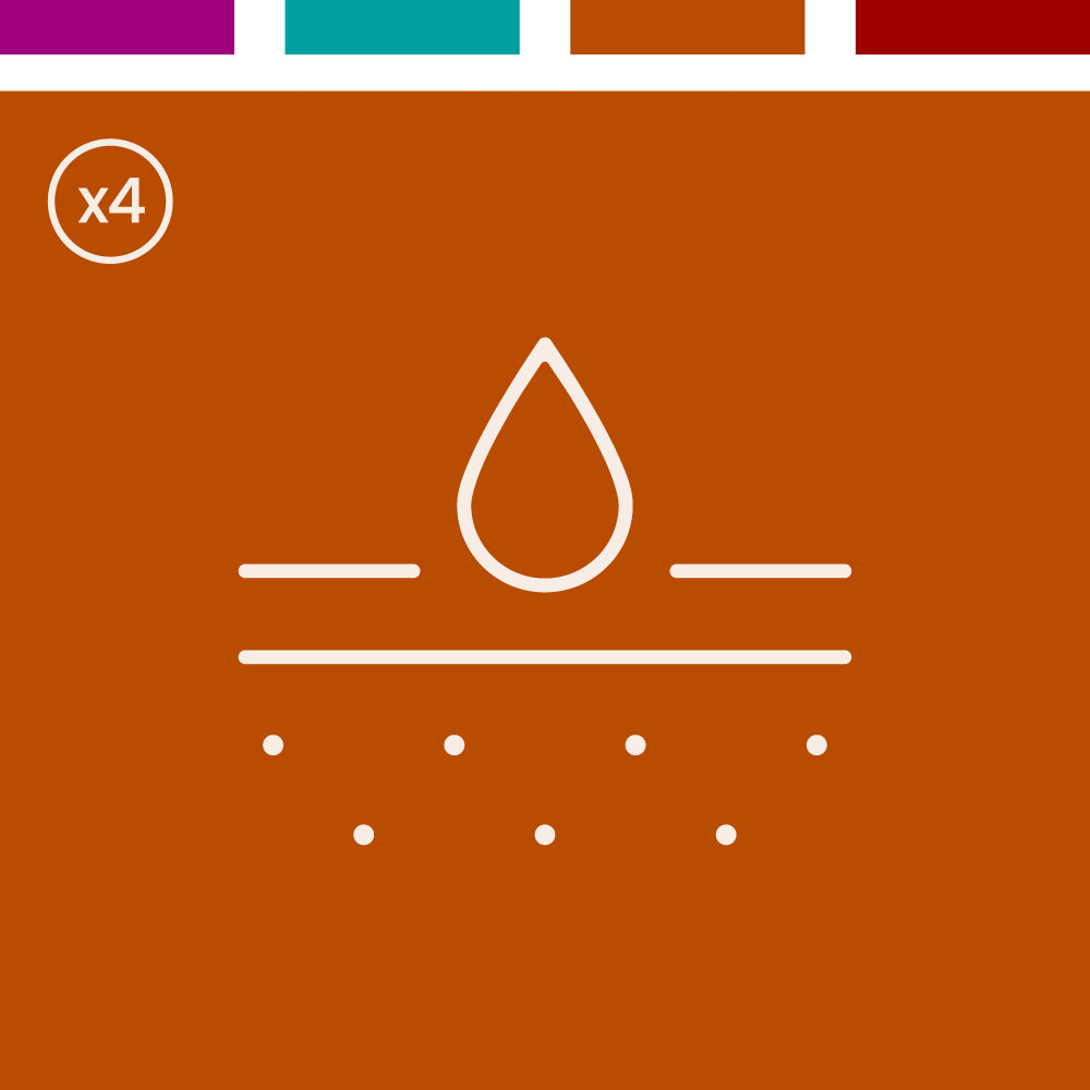Skin - Mushroom Extract Bundle